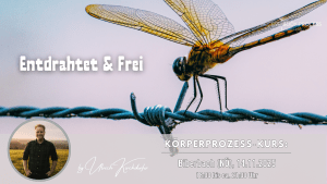 koerperprozess_biberbac
