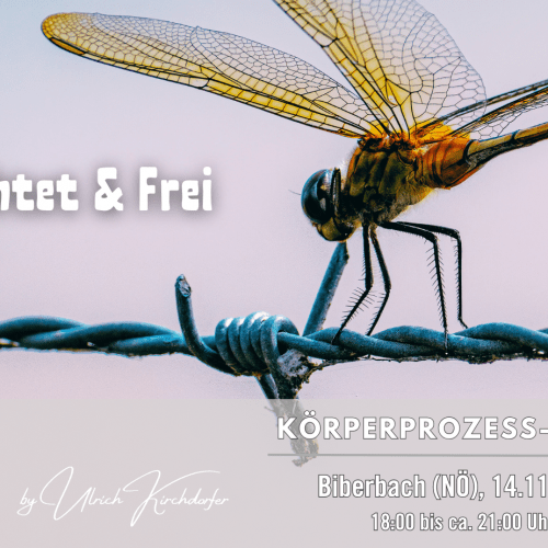 koerperprozess_biberbac