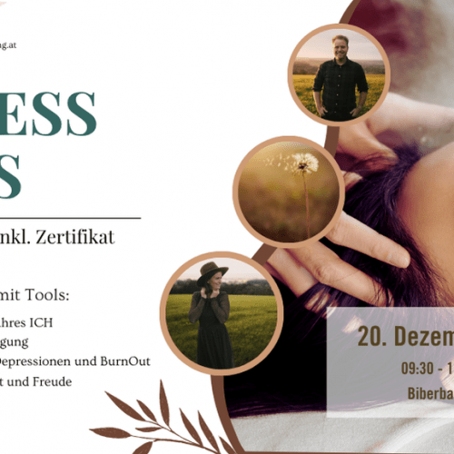 AccessBars Kurs Biberbach Kirchdorfer