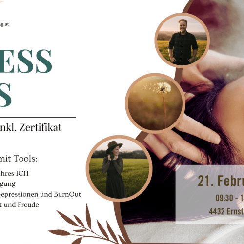 AccessBars Kurs Ernsthofen Kirchdorfer