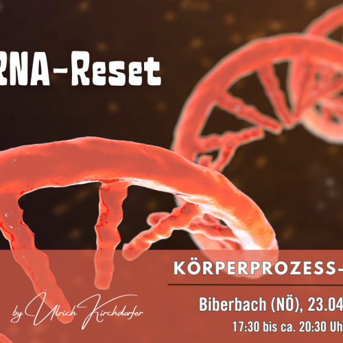 koerperprozess_biberbac